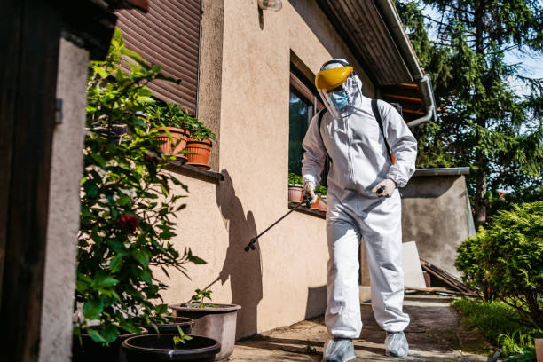Best Pest Prevention Services  in Williamsburg, FL