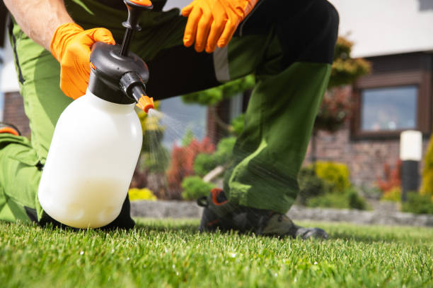 Best Wasp Removal Services  in Williamsburg, FL