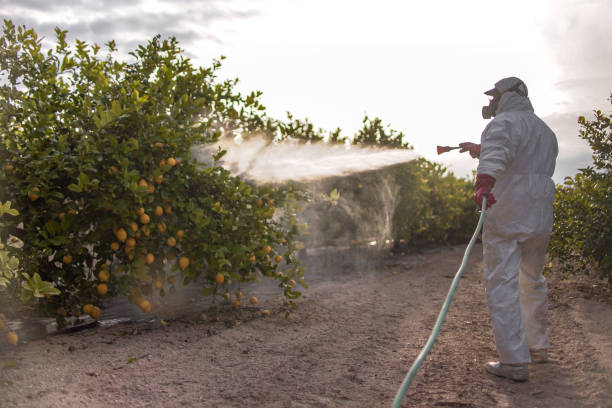 Best Residential Pest Control  in Williamsburg, FL