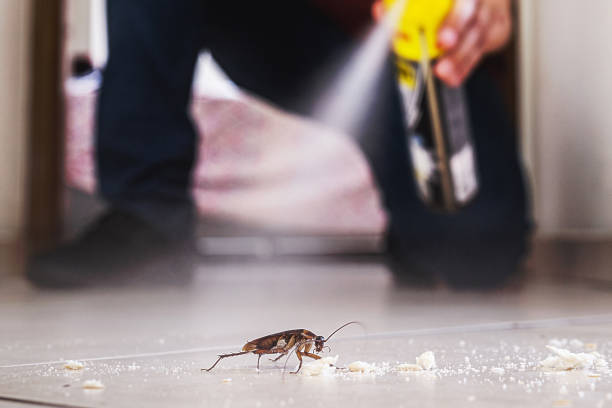 Best Mosquito Control Services  in Williamsburg, FL