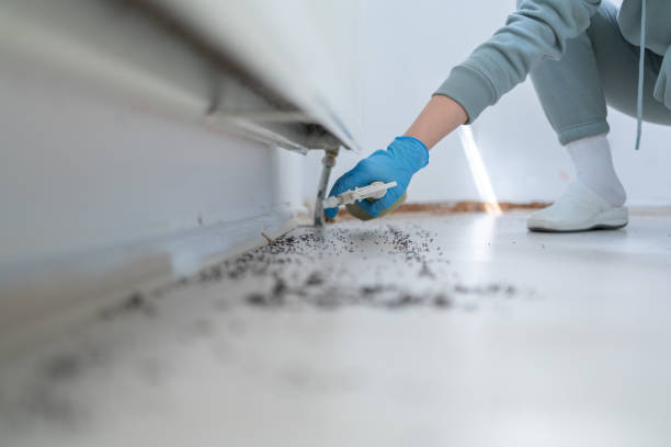 Reliable Williamsburg, FL Pest Control Solutions
